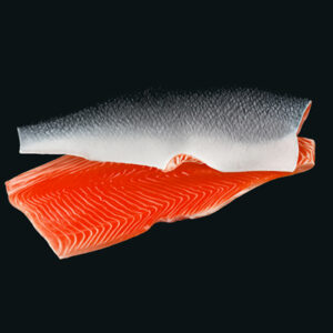 Nobile Naturale – Salmone Freschissimo