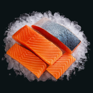 Nobile Naturale – Monoporzione Salmone Freschissimo