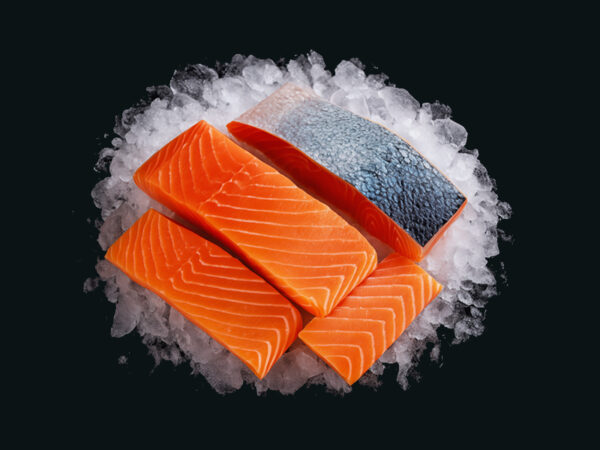 Nobile Naturale – Monoporzione Salmone Freschissimo